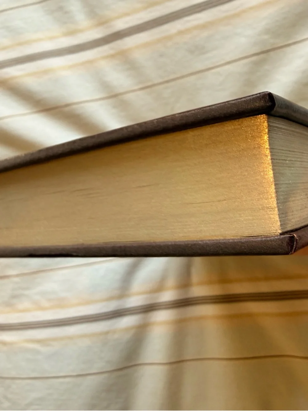Jack London: Call of the Wild & The Sea-Wolf - Collector's Edition Leather Bound